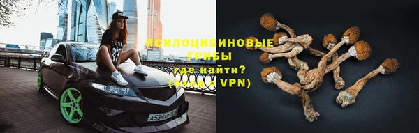 ПСИЛОЦИБИНОВЫЕ ГРИБЫ Лихославль