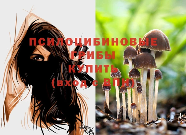 мяу мяу мука Гусев