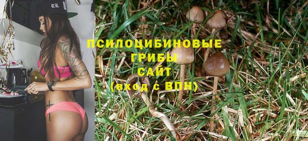 мяу мяу мука Гусев