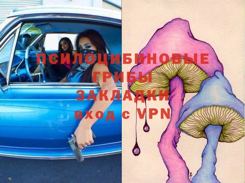 Галлюциногенные грибы Magic Shrooms  Духовщина 